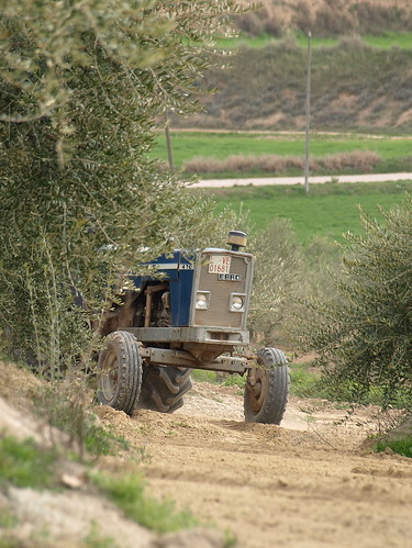 camp españa tractor field spain shy olympus catalonia campo catalunya cataluña lleida timid espanya garrigues e510 farmtractor timido lesgarrigues arbeca jordibrio