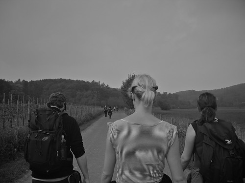 Eifel mod 134 | by klaus_z74