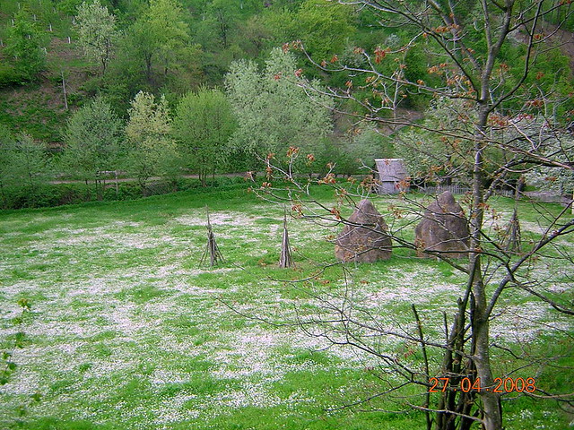 Kostajnik village Serbia