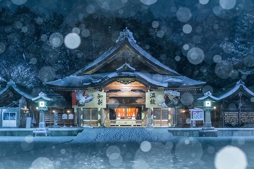 shrine snow snowing cold new year landscape japan culture sony ilce7m2 carlzeiss zeiss sel55f18z night wind niigata strobe