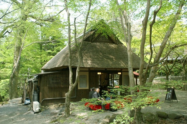 196/Japan/Nara/Koen-Garden/ Tea House