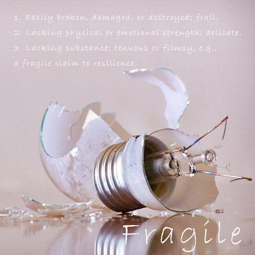 365/62: F is for Fragile by jane.garratt♥