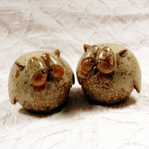 Owl Shakers | by ggmossgirl