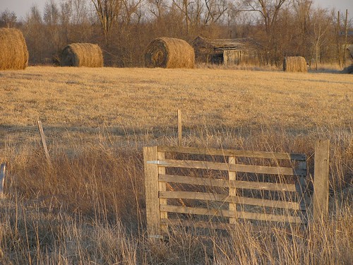 farm country