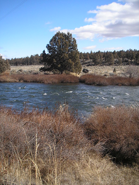 Tumalo River, Oregon