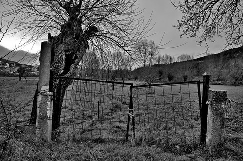 Country scape by Giara,