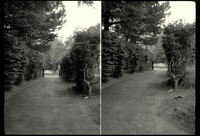 The road out of the cemetery.