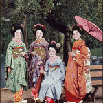 Four Young Maiko Under a Tree - Colour
