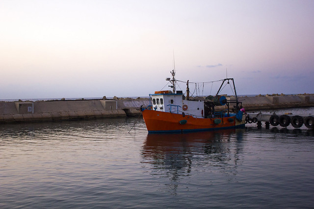 Jaffa Port // 2016