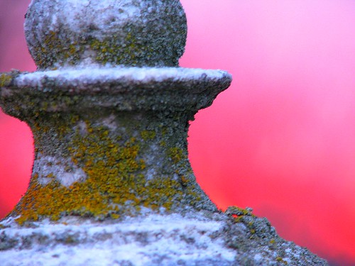 pink sunset graveyard moss canons5