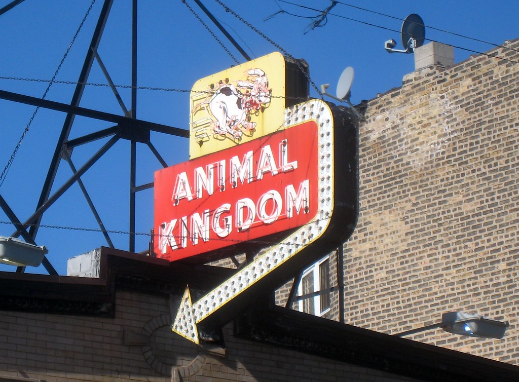 Animal Kingdom - Milwaukee Avenue - Chicago | This is now cl… | Flickr