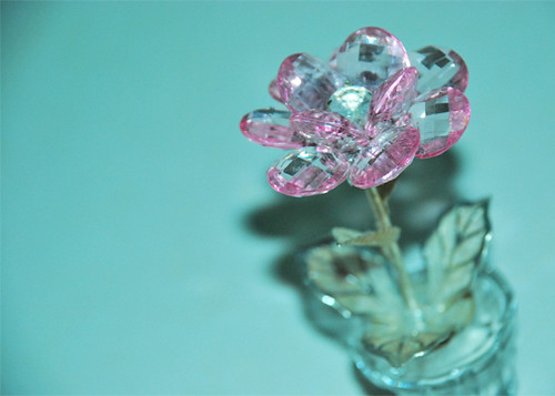 bunga kristal | by lyza_waty