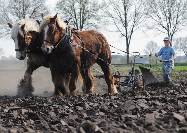 DSC_7883 2 Jong geleerd....