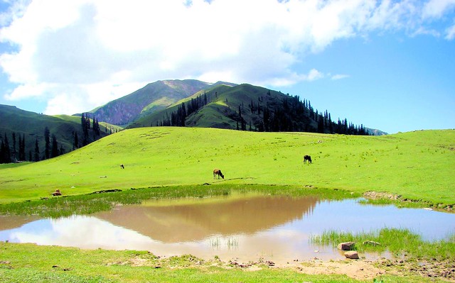 Payee - Shogran - Kaghan Valley - Pakistan