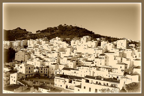 Chaconi | Flickr