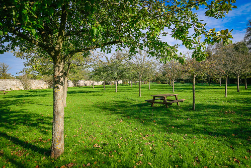 park france green rural landscape europe orchard apples normandy carrouges 24105mm lowernormandy canon6d justinhickling