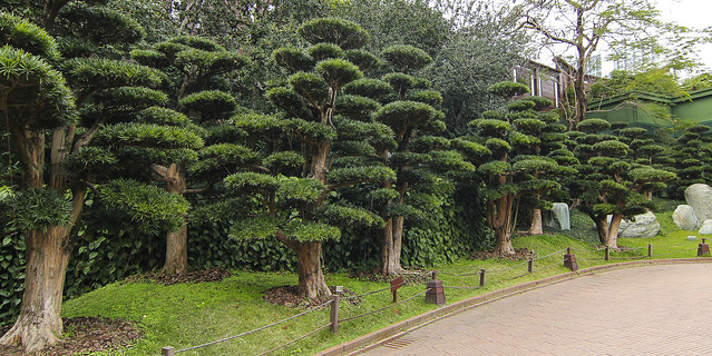 Nan Lian Garden - Chi Lin Nunnery - Wong Tai Sin Temple