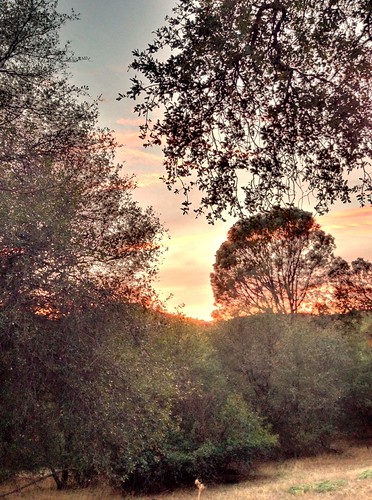Sunset 3 by sjrankin, HDR image of this evening's sunset.california sunset weather northerncalifornia clouds edited hdr 7o