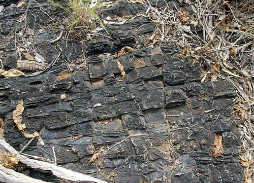 four-sided subcolumnar basalt, Great Basalt Wall, NW of Charters Towers, QLD, 28/04/06 | by Russell Cumming