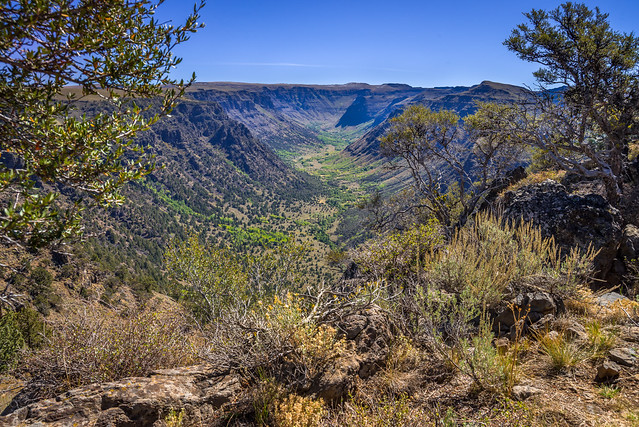 Big Indian Gorge from Steens Mountain Loop road