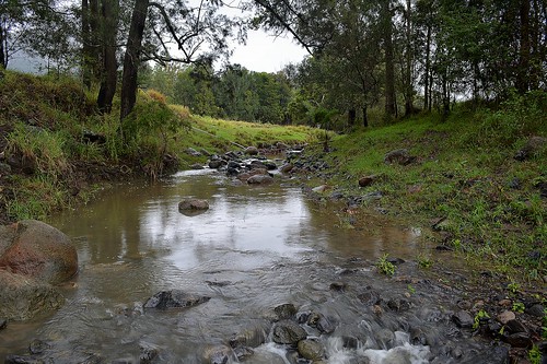 water creek countryside stream australia queensland sequeensland loganvalley streamscape palencreek