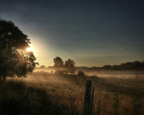 Easy Like a Sunday Morning by blue_on_blk, clearspring flickrandroidapp:filter=none