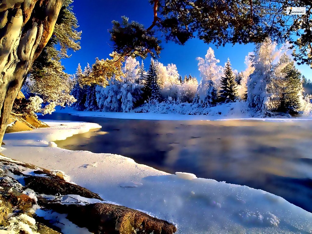 Winter wallpapers Winter forest | Winter wallpapers Winter f… | Flickr