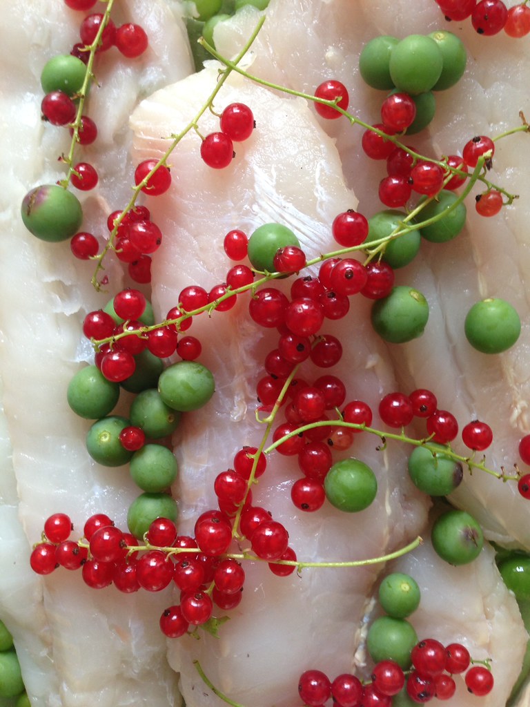 Red currants and unripe grapes on fish