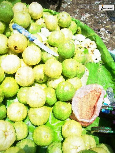 Awesome Guava Fruit Images | by Infoway LLC - Website Development Company