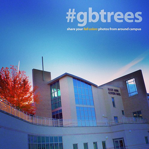 Not too late to play! Still a few #gbtrees on campus waiting for you to share their beauty with the world.
