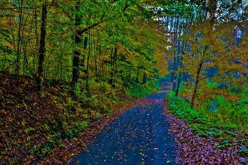 Up On Gee Brook Road_HDR [Explore]