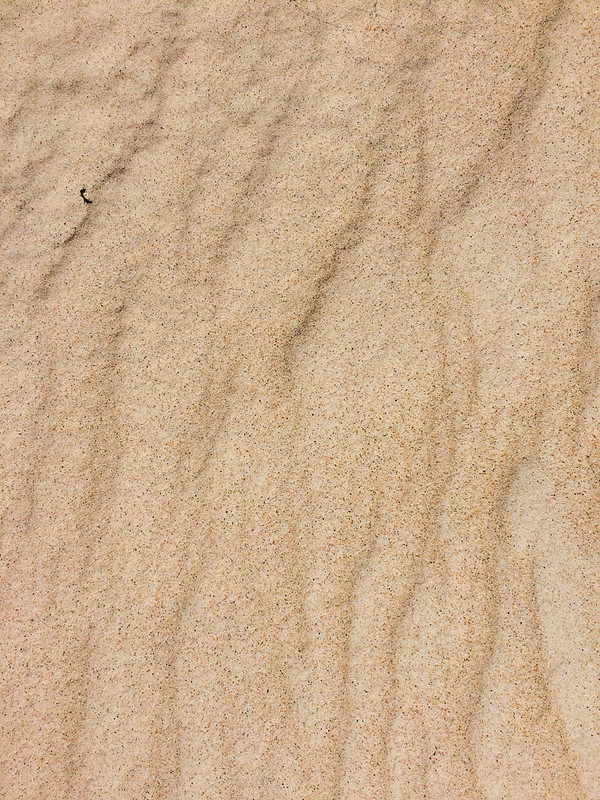 tasmania-henty-sand-dunes