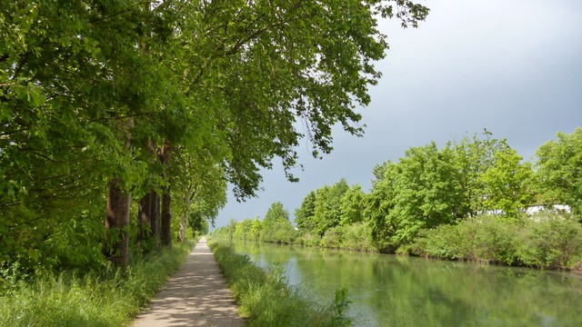 P1130780 Canal Latéral à la Garonne (1024x576)