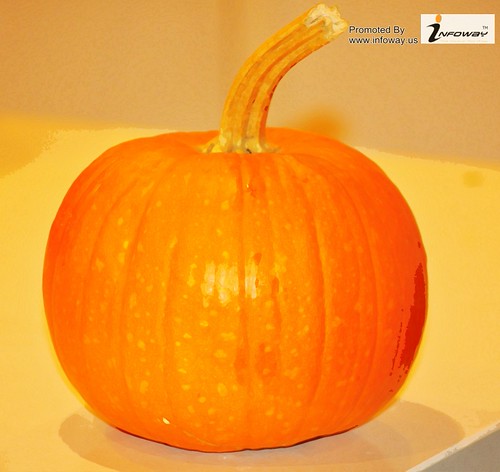 Beautiful Pumkin Fruit Picture | by Infoway LLC - Website Development Company