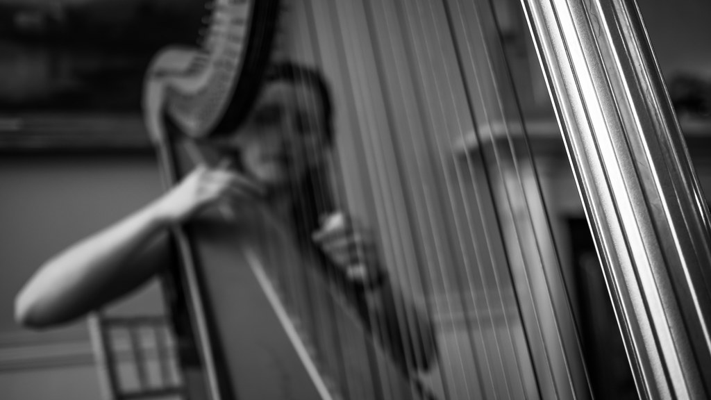 The harpist - Dublin, Ireland - Black and white photography