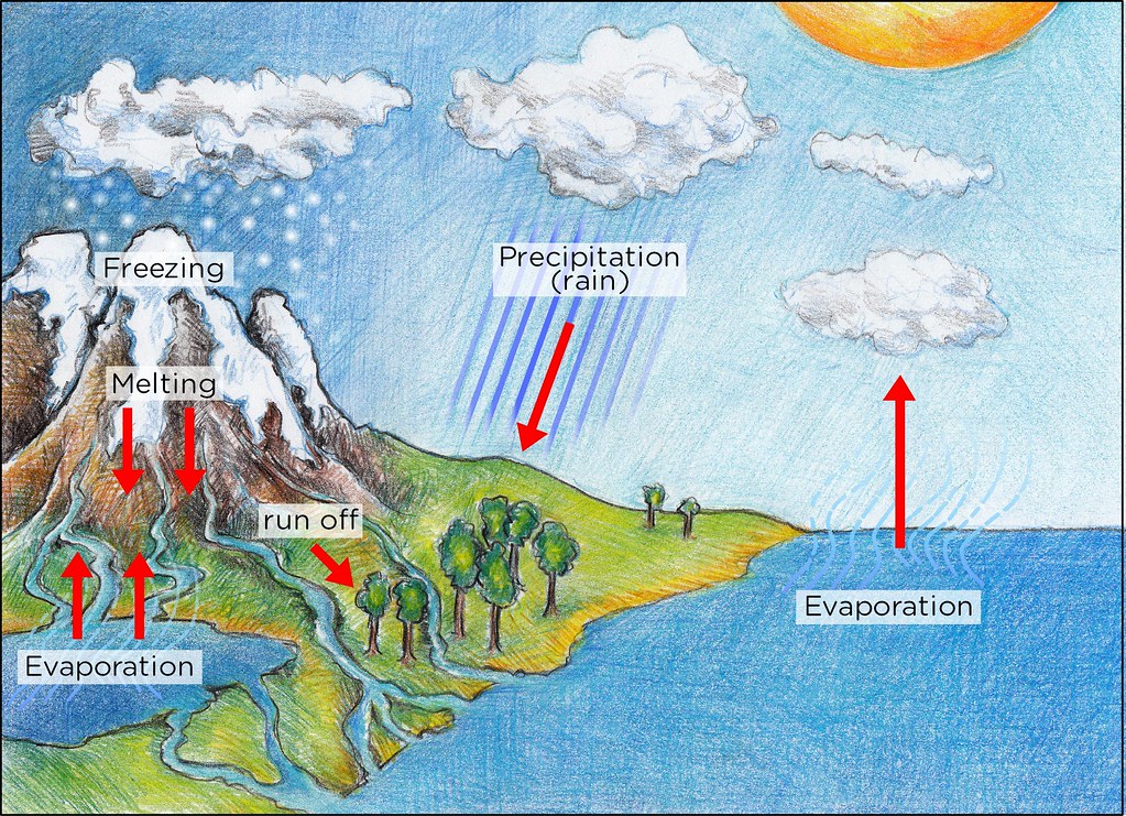 How to draw the diagram of Water Cycle easily !!!! - YouTube-cacanhphuclong.com.vn