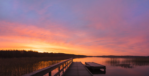solopgang gry morgenstund breakofdawn dawn morning skanderborgsø sø skanderborg jungesplantage panorama red sun sunrise lake