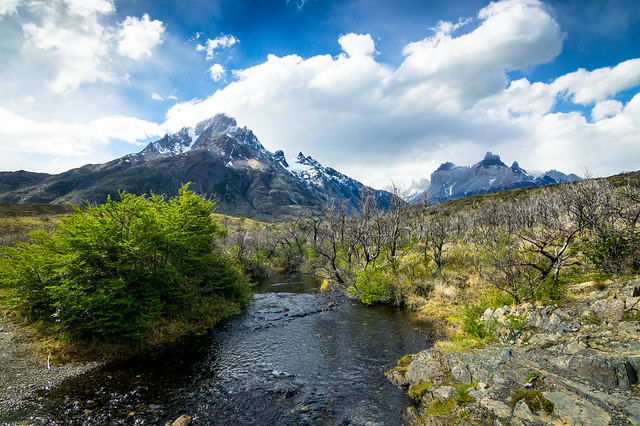 Rio en la Patagonia Chilea