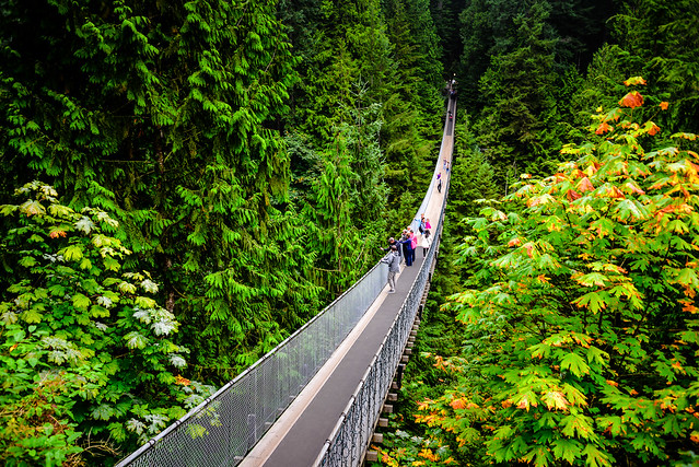 Capilano Suspension Bridge - Vancouver BC Canada