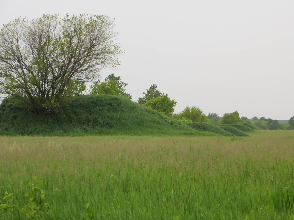 Hedgeapple Trail