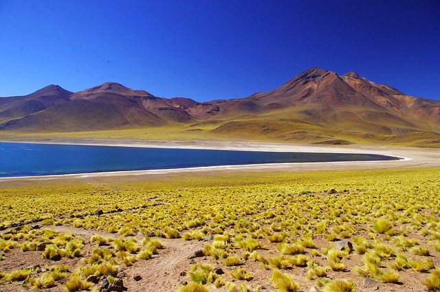 Lagunas Altiplanicas, San Pedro de Atacama, Chile