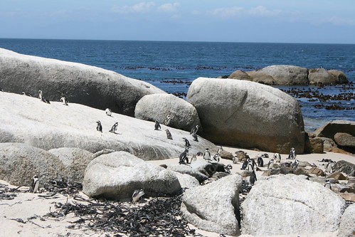 Cape Town