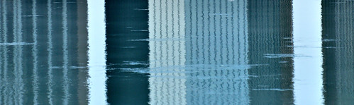 Natures bar code? | by Mel Diotte
