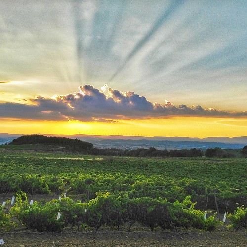 Entre #montblancmedieval i #barberàdelaconca s'acosta la #tempesta. A veure si cauen, ni que siguin 4 gotes! #igerstgn #concadebarberà #catalunyaexperience #vinya #vineyard #sunset #naturelovers by Jordi Giné, square squareformat iphoneography instagramapp uploaded:by=instagram
