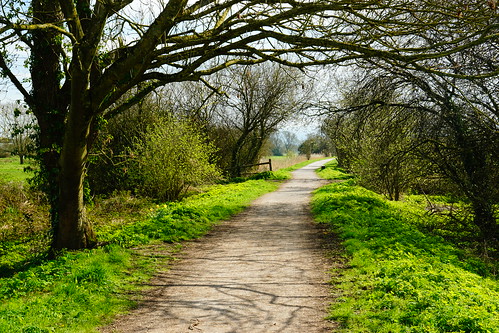 yatton northsomerset strawberryline england sony a6000 spring trees color outdoors grass path landscape green uk nature britain