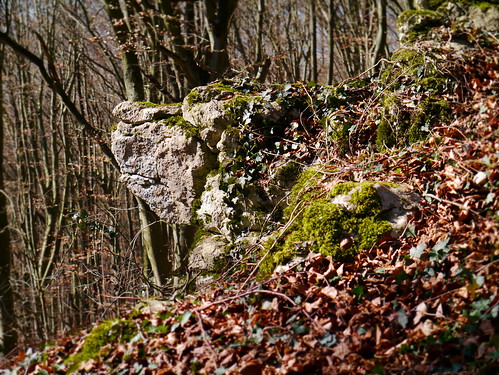 felsen rock nature landscape explored