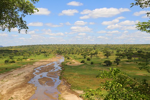 africa landscape tanzania tarangire