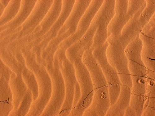 Sand Dunes 025 | by Chandler West