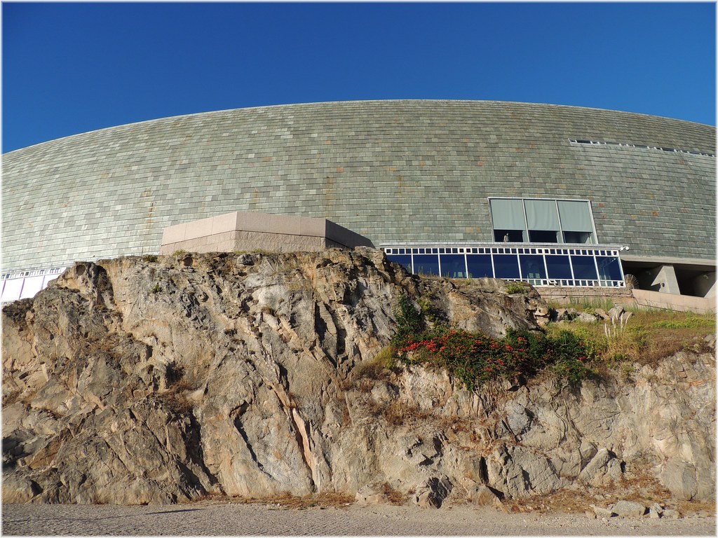 Domus