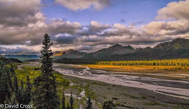 A View from Denali National Park